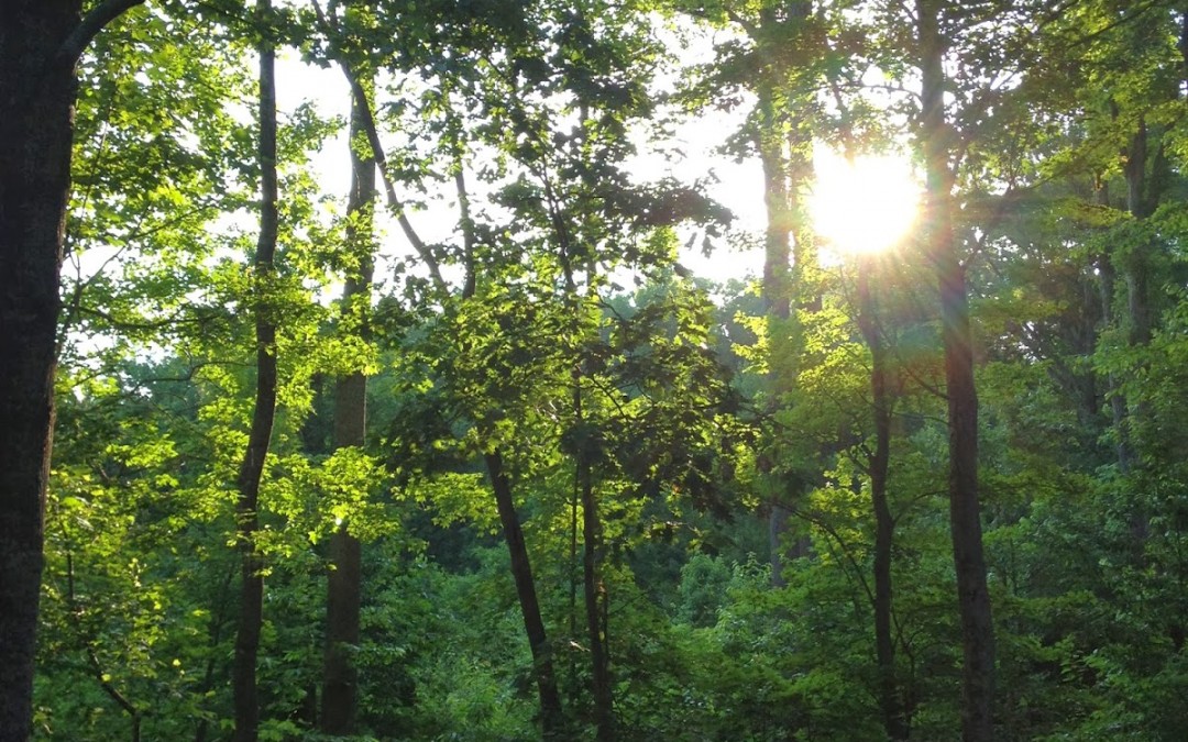 Three Tangible Ways To Encourage Someone Today