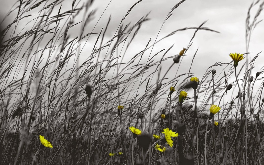 Staying in Step with the Spirit Via Specific Prayers