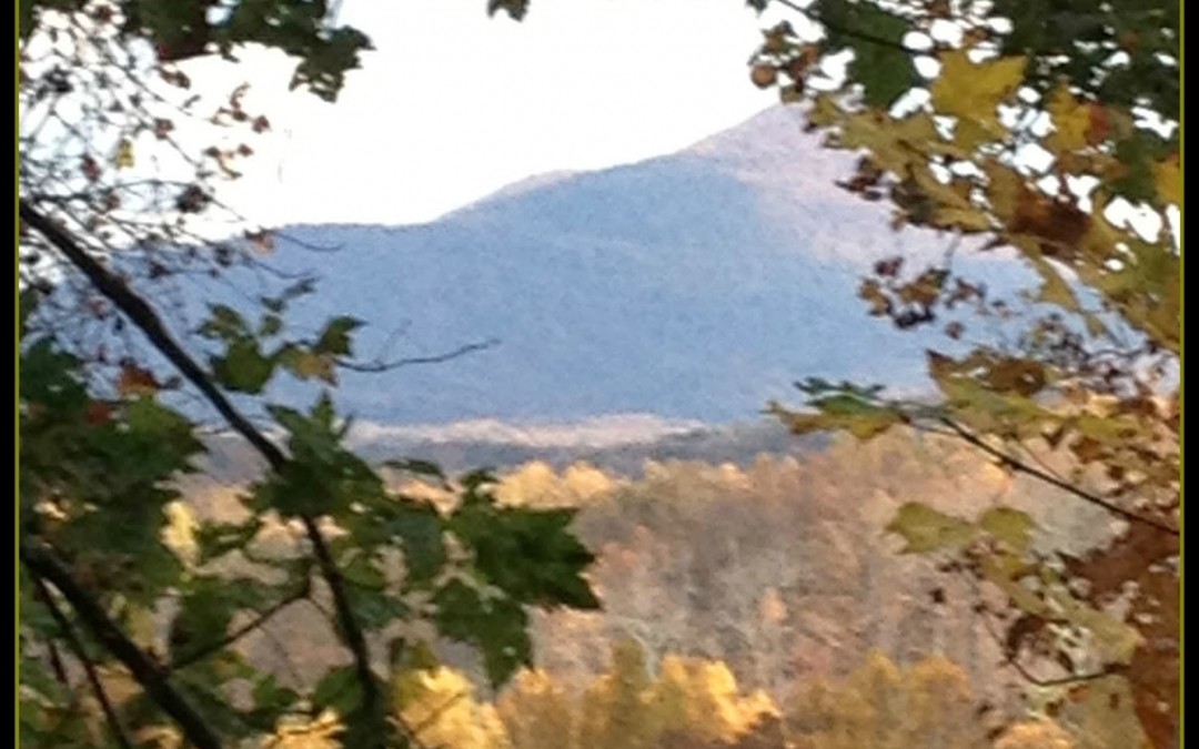 Staying in Step with the Spirit Via God’s Creation, Wk 2