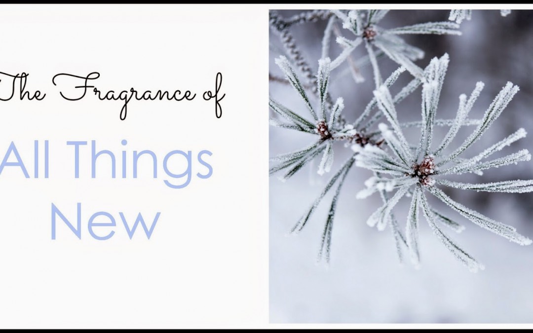 What’s New? Silencing the Cannot’s