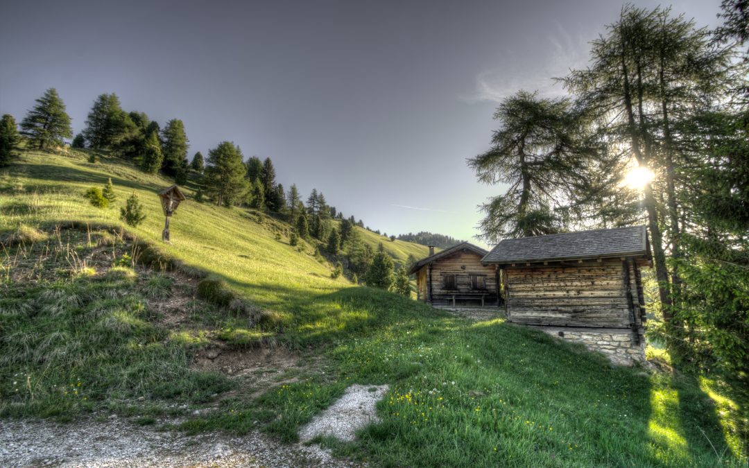 The Fragrance of Love: An A-mazing Tiny House
