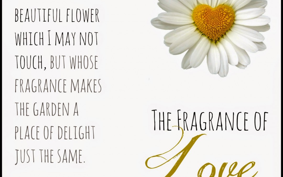 The Fragrance of Love: Pandora