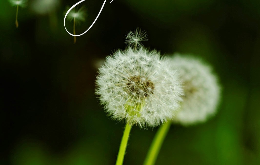 Rousing Your Spiritual Gift from Sleep