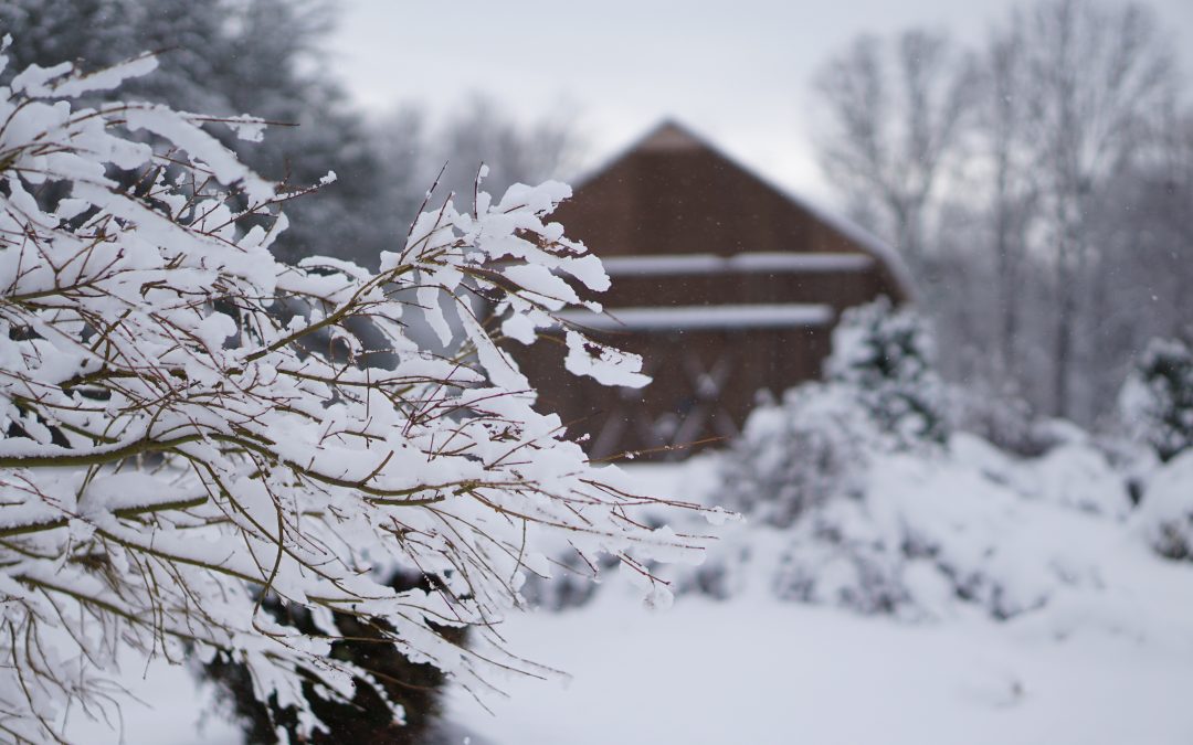 Silence in the Snow and Why We All Need It