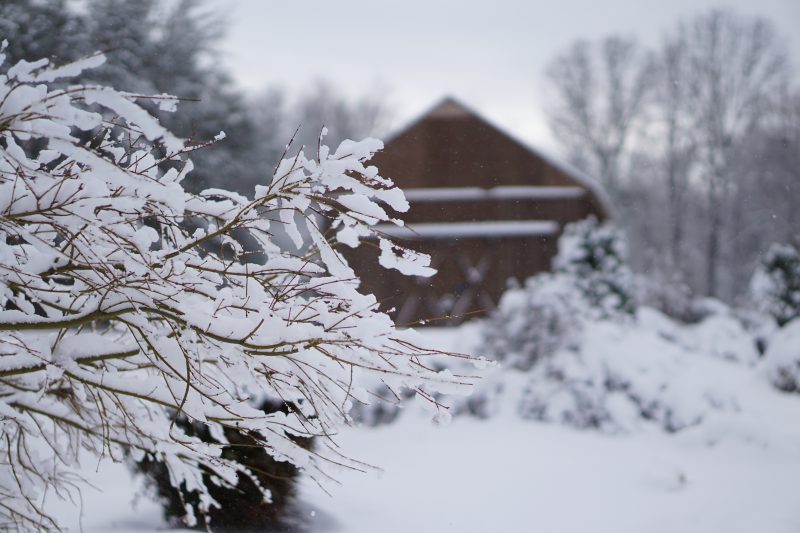 Barn in the Snow