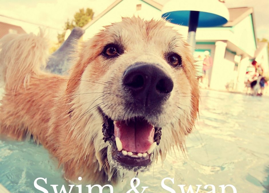 Coming to Our {Summer} Senses //  A God-Glorifying Gathering and Giveaway!