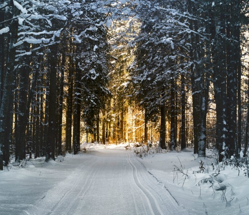 Hibernate in Prayer to Awaken Your Soul