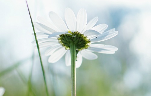 Three Ways to Quietly Serve Others