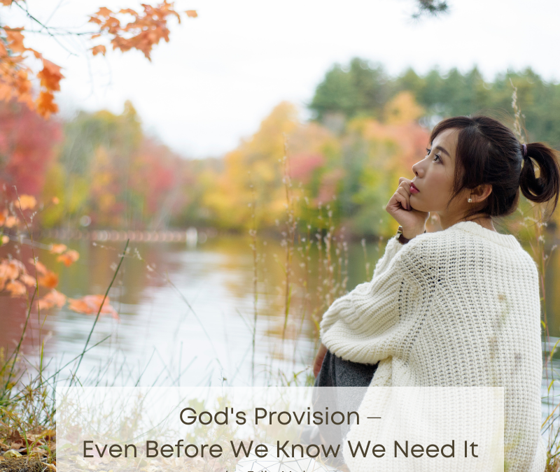 God’s Provision ⏤ Even Before We Know We Need It // Guest Post by Edie Melson